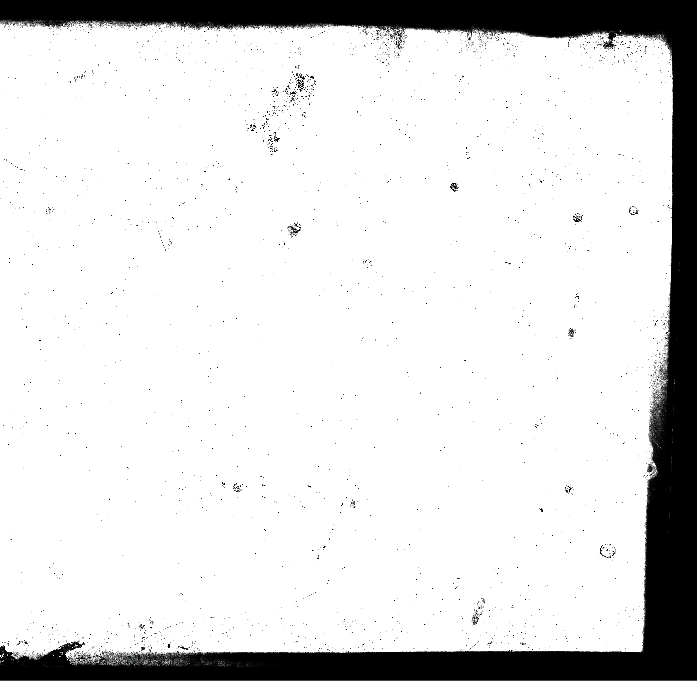 Vintage film boarder