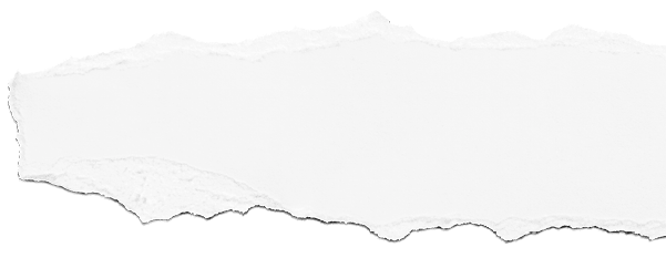 collection of white ripped pieces of paper on white background. each one is shot separately