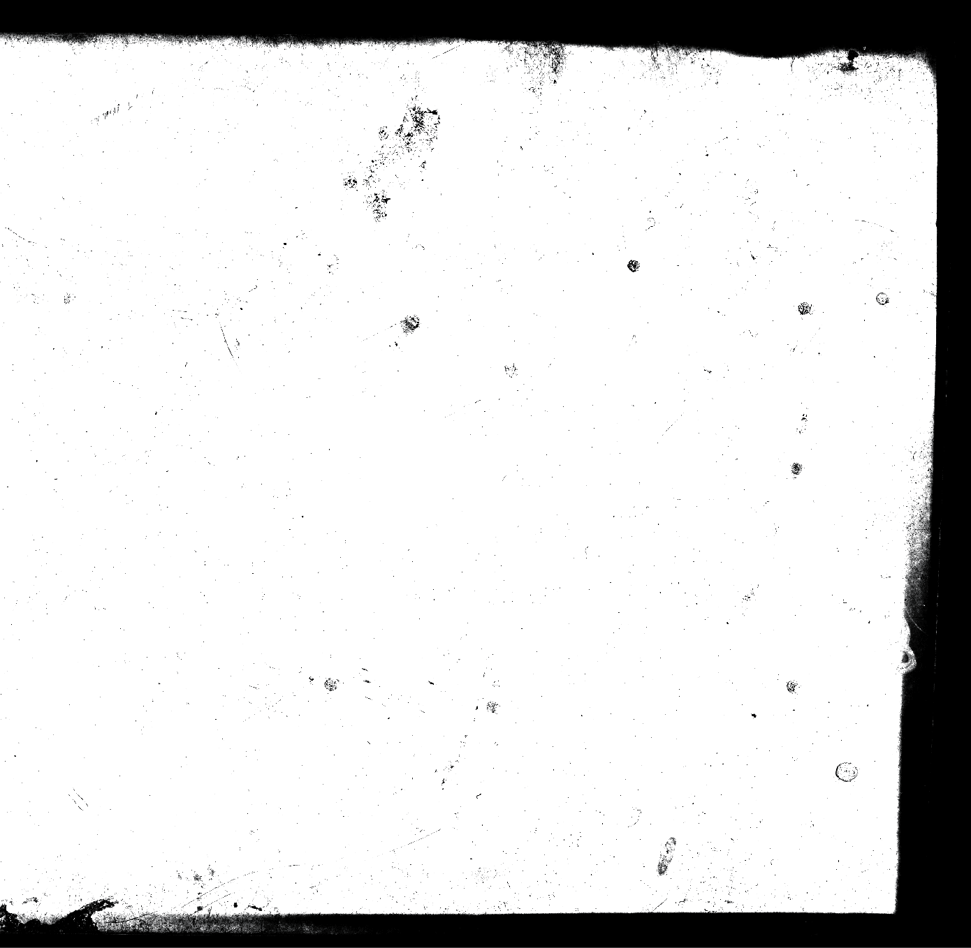 Vintage film boarder