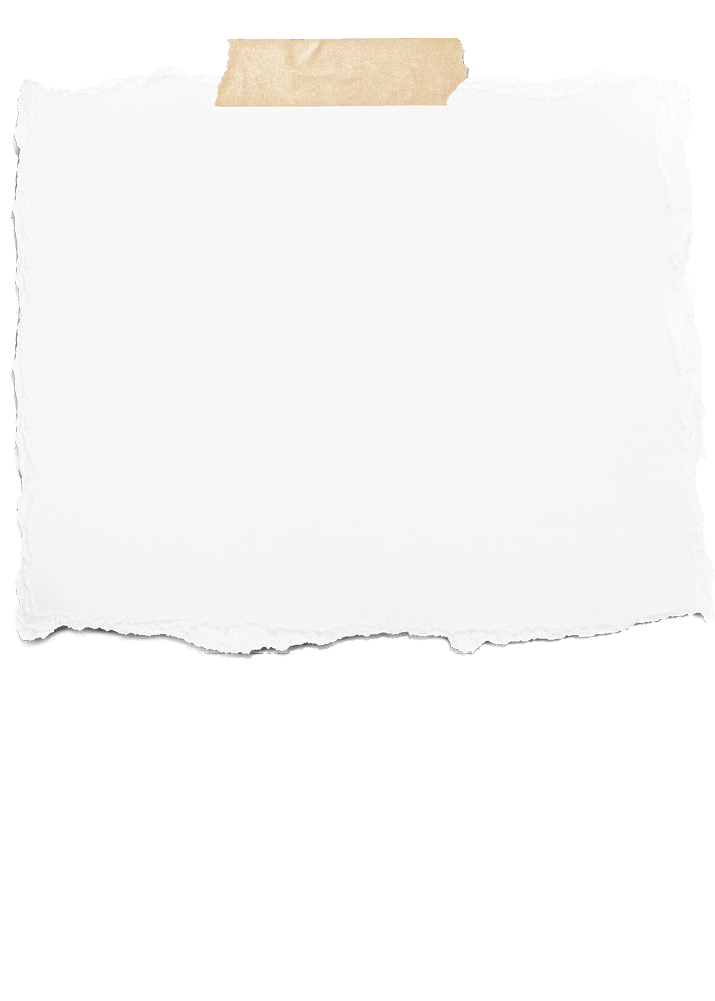 collection of white ripped pieces of paper on white background. each one is shot separately