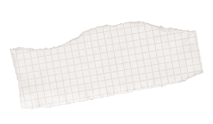 White Ripped Paper Scrap. Graph Paper with Torn Edge, Scrapbook Sticky Notes, Notebook Page